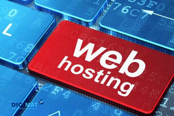 Web Hosting là gì? 
