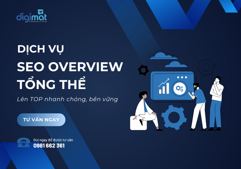 Dịch vụ SEO Overview